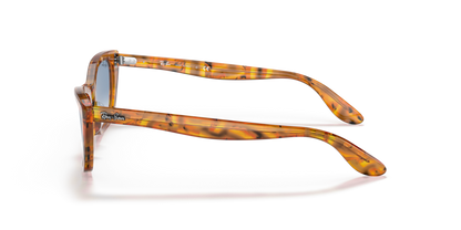 Amber Tortoise - 0RB2299 8056597548748