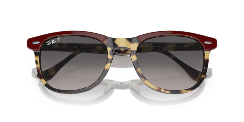 0RB2398 - Ray - Ban - Frame: Tortoise - (Bordeaux On Yellow Havana 1377M3) - Lens: Grey Polarized - 53 MM - Ardor Eyewear