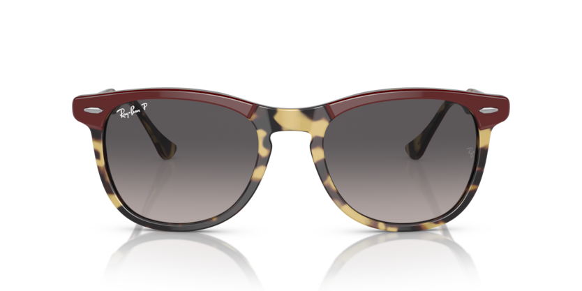 0RB2398 - Ray - Ban - Frame: Tortoise - (Bordeaux On Yellow Havana 1377M3) - Lens: Grey Polarized - 53 MM - Ardor Eyewear