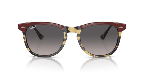 0RB2398 - Ray - Ban - Frame: Tortoise - (Bordeaux On Yellow Havana 1377M3) - Lens: Grey Polarized - 53 MM - Ardor Eyewear