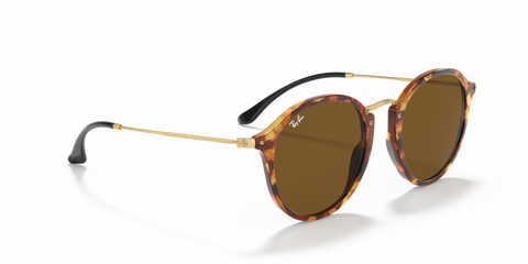 Brown Havana - 0RB2447 8053672358650