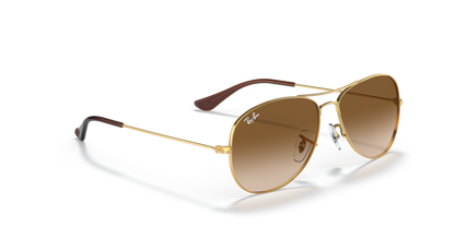 Arista Gold - 0RB3362 805289275251