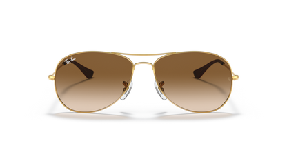 Arista Gold - 0RB3362 805289275251