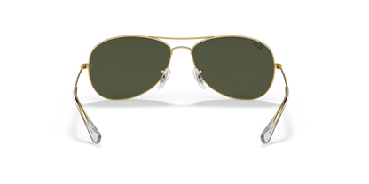 Arista Gold - 0RB3362 805289270836