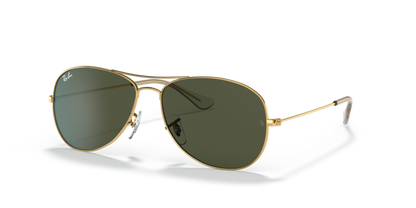 Arista Gold - 0RB3362 805289270836