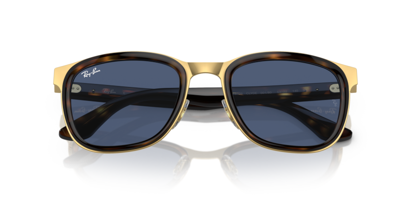 Havana On Gold - 0RB3709 8056597834612 Ray-Ban Sunglasses Unisex Square