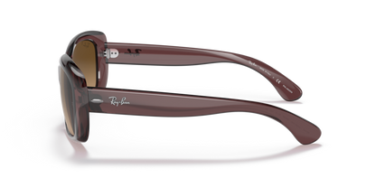 Transparent Dark Brown - 0RB4101 8056597664295