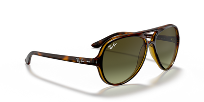 Light Havana - 0RB4125 8053672788761