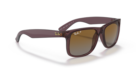 Transparent Dark Brown - 0RB4165 8056597616577
