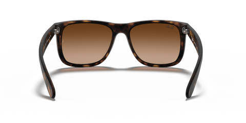 Havana - 0RB4165 713132587102