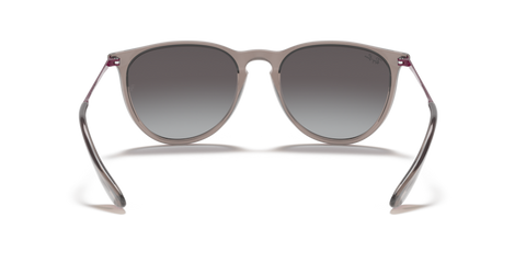 Transparent Grey - 0RB4171 8056597369374