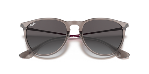 Transparent Grey - 0RB4171 8056597369374