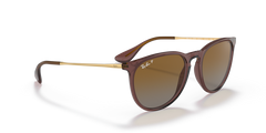 Transparent Dark Brown