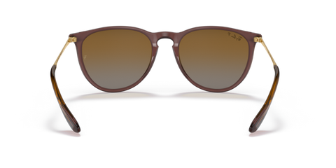 Transparent Dark Brown - 0RB4171 8056597616720