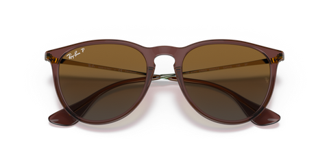 Transparent Dark Brown - 0RB4171 8056597616720