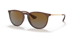 Transparent Dark Brown