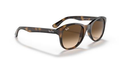 Light Havana - 0RB4203 8053672561630