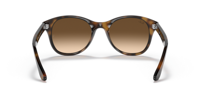 Light Havana - 0RB4203 8053672561630