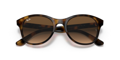 Light Havana - 0RB4203 8053672561630