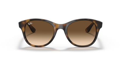 Light Havana - 0RB4203 8053672561630