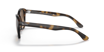 Light Havana - 0RB4203 8053672561630