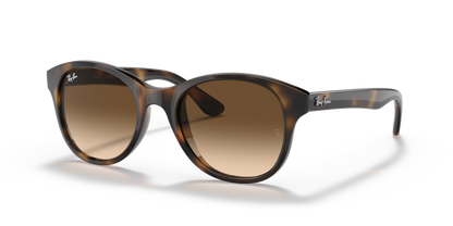 Light Havana - 0RB4203 8053672561630