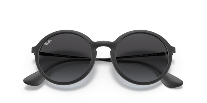 Rubber Black - 0RB4222 8053672359176