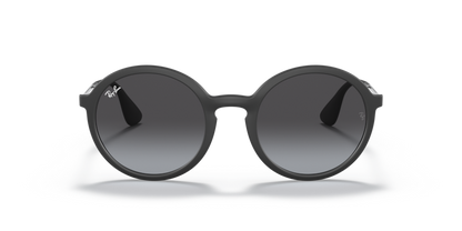 Rubber Black - 0RB4222 8053672359176