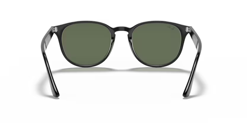 Ray-Ban RB4259