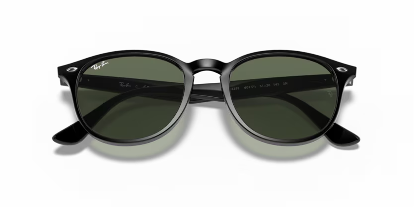 Ray-Ban RB4259