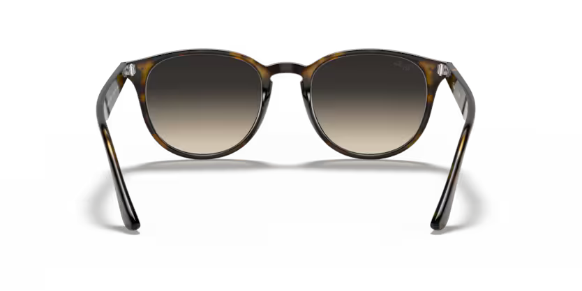 Ray-Ban RB4259