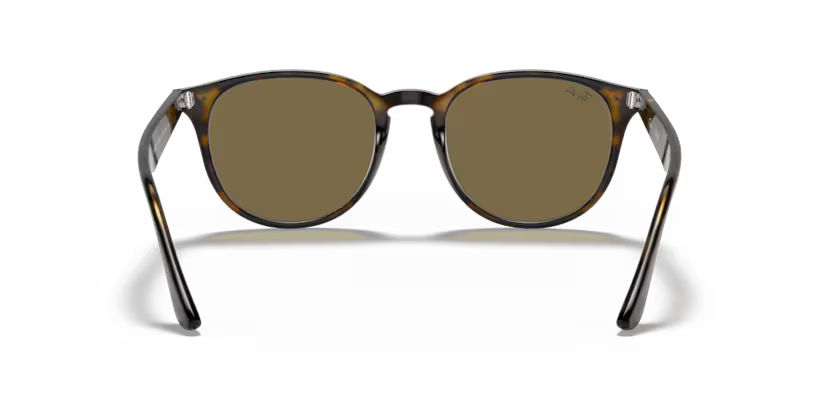 Ray-Ban RB4259