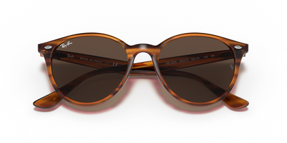 Striped Red Havana - 0RB4305 8056597071611