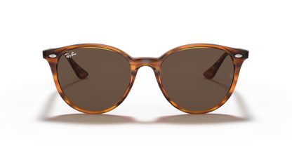 Striped Red Havana - 0RB4305 8056597071611