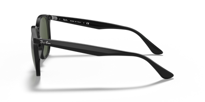 Black - 0RB4306 8056597072991