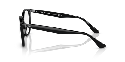 Black - 0RB4306 8056597795005