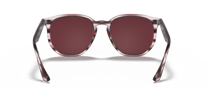 Striped Bordeaux Havana - 0RB4306 8056597260404