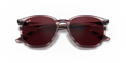 Striped Bordeaux Havana - 0RB4306 8056597260404