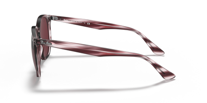 Striped Bordeaux Havana - 0RB4306 8056597260404