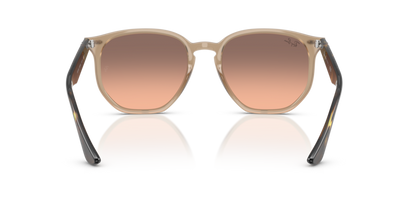 Turtledove - 0RB4306 8056262314647