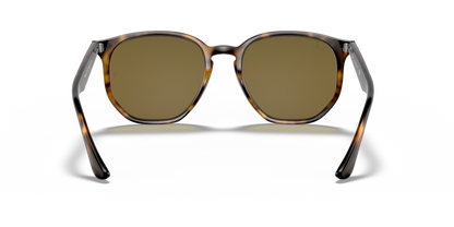 Light Havana - 0RB4306 8056597073004