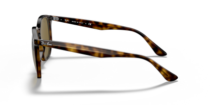 Light Havana - 0RB4306 8056597073004