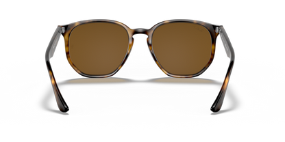 Light Havana - 0RB4306 8056597073011