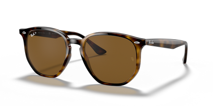 Light Havana - 0RB4306 8056597073011