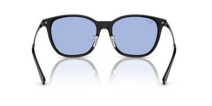 Black - 0RB4333D 8056597953672