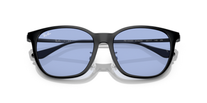 Black - 0RB4333D 8056597953672