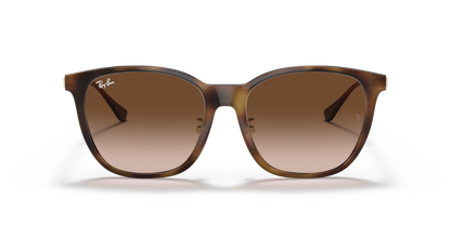 Light Havana - 0RB4333D 8056597179614