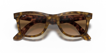 Light Havana - 0RB4340 8053672770445