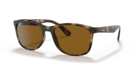 Havana - 0RB4374 8056597626965