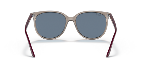 Transparent Grey - 0RB4378 8056597626873